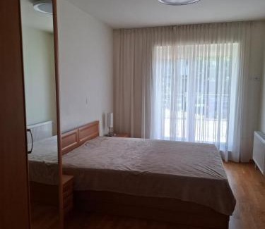 Siauliai City Center Apartment | Vytautas Apartments