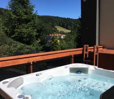 Krynica-Zdroj Apartment | Wójcik SPA - Krynica Zdrój