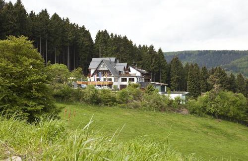 Willingen Hotel | Wald Hotel Willingen