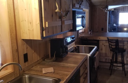 Mason County Cabin | Walhalla Cabin w/hot tub located between Ludington and Baldwin near PM River.