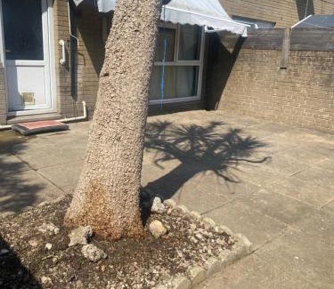 Butetown House | Warm spacious lovely house