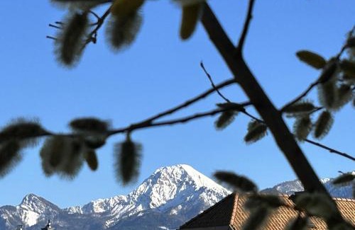 Villach Apartment | Warmbad Apartments