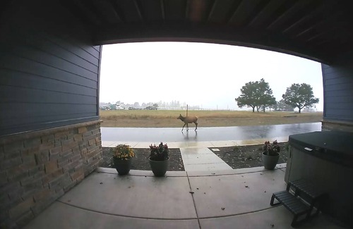 Hammond House | Watch Cargo ships - River View - HOT TUB + Rec Room - Near Ocean & Fort Stevensn
