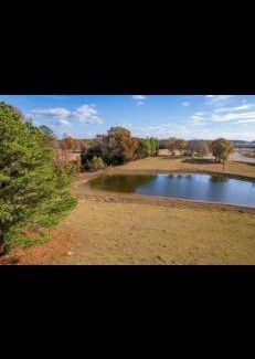Water Valley Apartment | water valley, tiny home animal petting exp, fruit trees, fishing pond, stars, camping ect