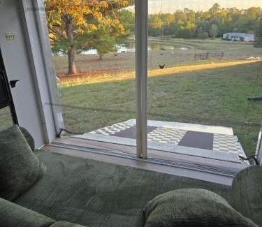Water Valley Apartment | water valley, tiny home animal petting exp, fruit trees, fishing pond, stars, camping ect