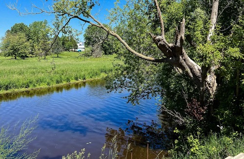 Algoma House | Waterfront 2 BR Lower-level w/grill & kayaks