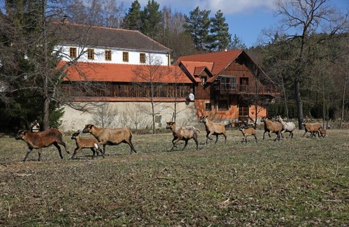 Kajov Apartment | Waterwheel apartment at Kamenný potok