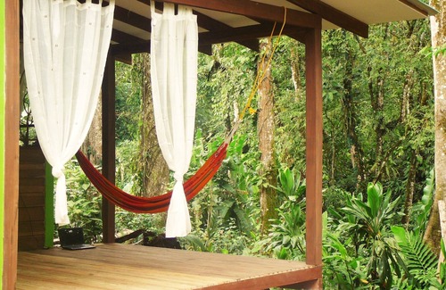Cocles Apartment | Welcome to the jungle! stylish jungle view apartments for nature lovers