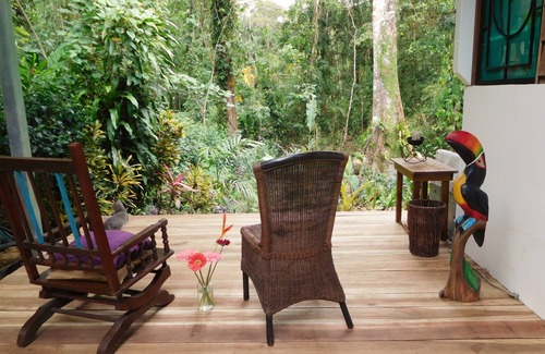 Cocles Apartment | Welcome to the jungle! stylish jungle view apartments for nature lovers