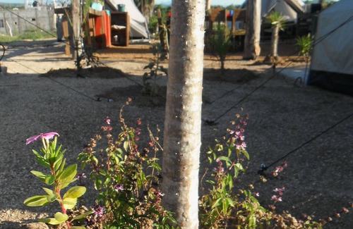 Todos Santos RV Rental | Welcome to Camp - Santos
