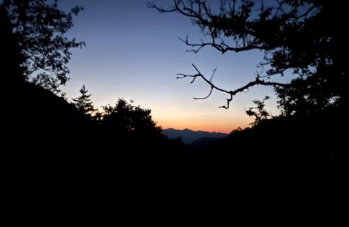 Likani House | Welcome to Tamara Cottage