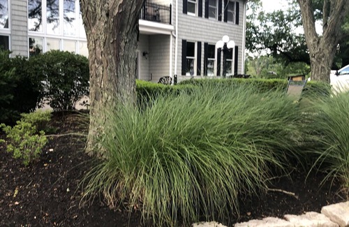 Union House | Welcome to the farm!