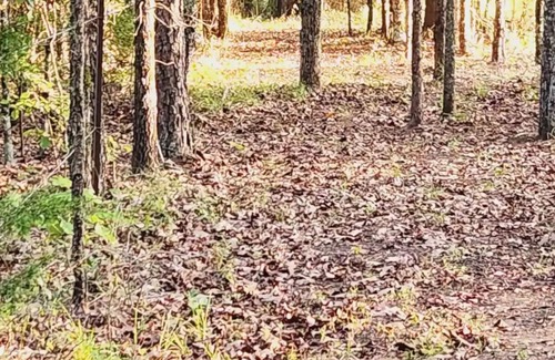 Heber Springs RV Rental | Welcome to The Gem