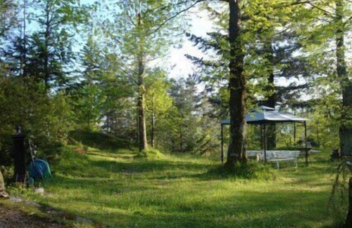 Stibiveri Ski Chalet | Wellness in Nature Apartment in villa with park LT 0023