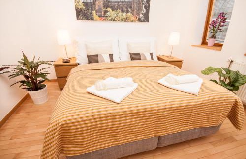 Nove Mesto Apartment | Wenceslas Square Lofts