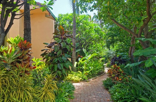 Wailea Condo | Whales, Beaches and Sunsets! Come enjoy Maui's most exclusive resorts.