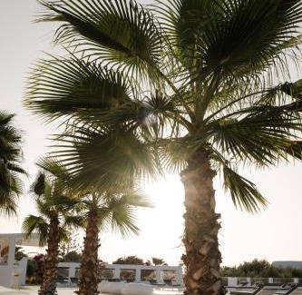 Santa Maria Hotel | White Dunes Luxury Boutique Hotel