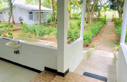 Nuwaragam Palatha East Hotel | White Queen