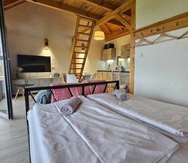 Postołow House | Widokowe Stodoły Bieszczady - domy z panoramą połonin