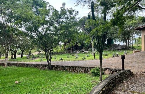 Nelspruit House | Wild Antelope on your doorstep!
