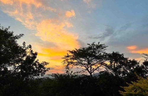 Nelspruit House | Wild Antelope on your doorstep!