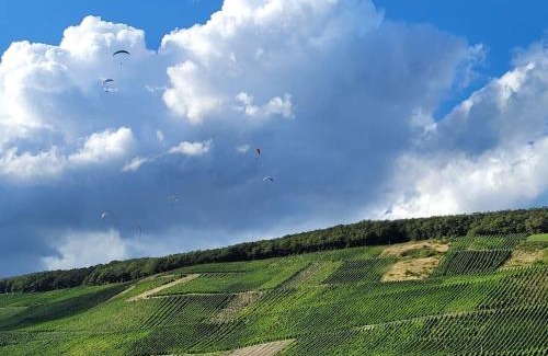 Dhron House | Willi's Moselschlösschen