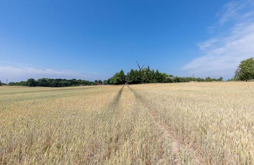 gmina Karnice House | Windmill vacation home in Ledzin near Baltic Sea