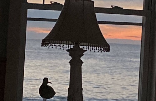 Salisbury Cottage | Winter Rental Avail. Oceanfront Custom Cottage Direct Beach Access