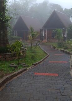 Somvarpet Bed & Breakfast | Wisteria Coorg
