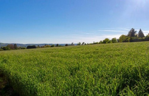 Kaiserslautern Apartment | Wonderful Apartment With Great Location 6 Guests