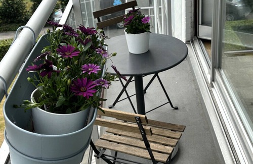 Sint-Michiels Apartment | Wonderful family stay in Brugge