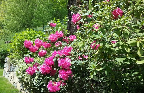 Cerano d'Intelvi Apartment | Wonderful living in villa in the garden. View of mountains, lake, many attractions.