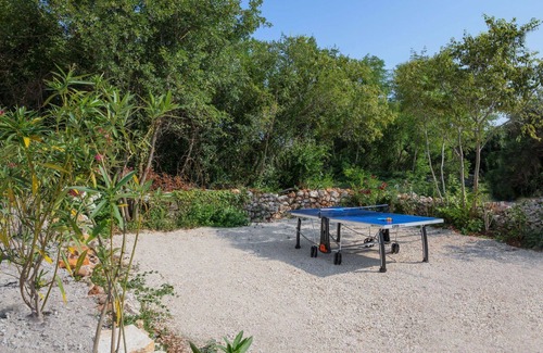 Stanisovi Villa | Wonderful private villa with WIFI, private pool, A/C, TV, terrace, pets allowed and panoramic view
