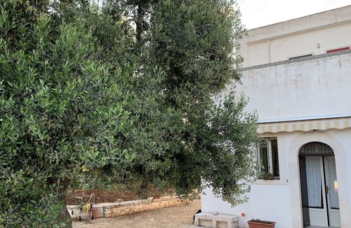 Castellana Grotte House | Wonderful relaxing holiday in Castellana Caves