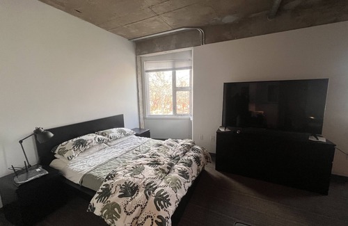 City Park West Apartment | Wonderful Studio in City Park West, pet friendly building.