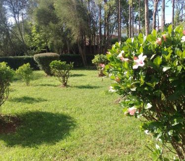 Nanyuki House | Wooden Knee Cottages Nanyuki