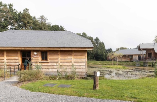 Gedinne House | Woodland Cabin in Vencimont