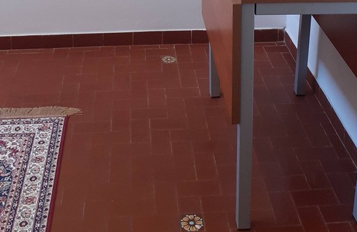 Poggio Catino Apartment | Woods, silence, walks