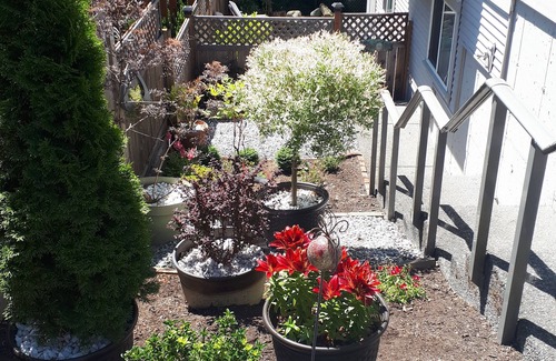 Ladysmith House | Words & Woods: a cozy, peaceful stay in beautiful Ladysmith B.C.