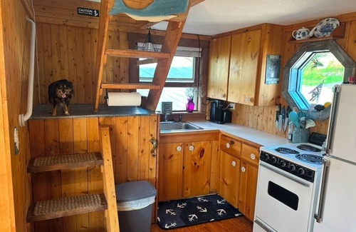 Lubec Cottage | World’s highest tides! Pet friendly, bay front cottage with huge fenced yard.