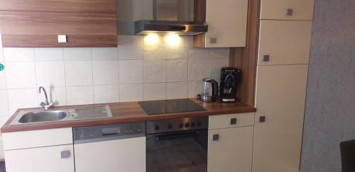 Bad Goisern Apartment | XXL Cosy apartments Villa Goisern, centre with mountain view