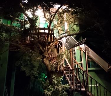 Yodakandiya Hotel | yala treetop lake