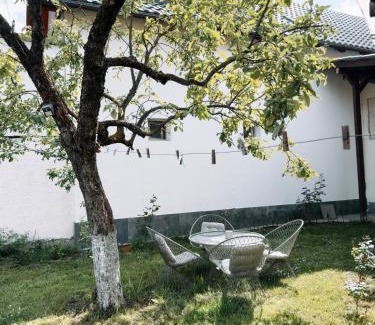 Rasnov Apartment | Yard Studio Râșnov