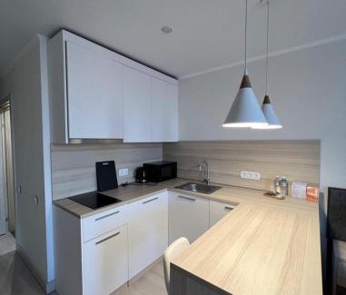 Nur-Sultan Apartment | Yes, apartments in the apart-hotel near the botanical garden