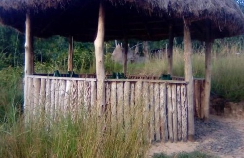 Kagano RV Rental | Your Peaceful Hideaway on the Shores of Kagano