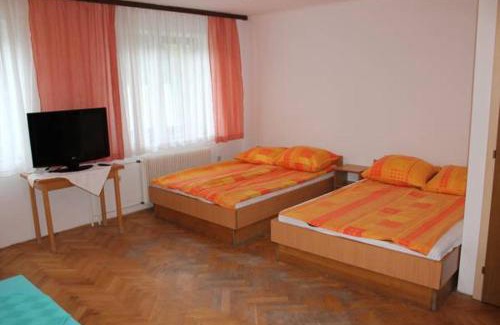 Kranjska Gora Hostel | Youth Hostel Nika