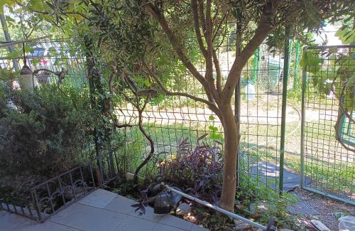 Sutomore Apartment | Zagradge IN Apartments