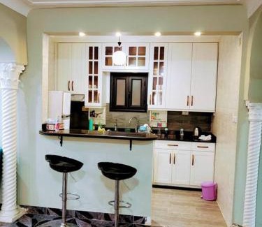 Zamalek Apartment | Zamalek Towers