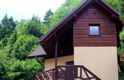 Zawoja Ski Chalet | Zawoja Chaty Górskie D4
