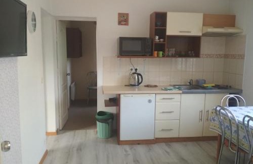 Yaremche Apartment | Zelena Sadyba Bila Stavka
